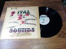 ROOTS DUB LP STUDIO ONE ITAL DUB SOUNDS & SYSTEM SILK SCREEN VG-/VG