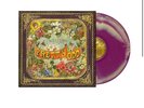 Panic  At The Disco Pretty Odd Limited Edition Purple Vinyl