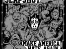 Slapshot Make America Hate Again NEAR MINT Bridge 9 Vinyl LP
