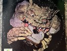 Black Cat Bones Barbed Wire Sandwich Vinyl LP Blues Rock Album Psyche Rock Rare