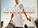 Eminem The Real Slim Shady Ep 12