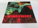 Johnny Jewel – Windswept - 180g - vinyl - RARE - OOP