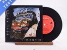 Soul Asylum - Runaway Train - 7