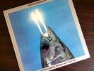 REO Speedwagon - You Can Tune A Piano - Arena Rock Excellent Vinyl LP