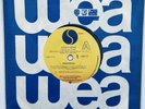 MADONNA Lucky Star  7” Promo New Zealand 1984 Company Sleeve