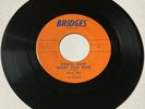 Walt Reo & Bishops 1962 DOOWOP 45 You’ll Reap What You Sow BRIDGES VG+++/M- HEAR