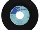 RARE DOO WOP 45 THE LA-RELLS EVERYBODY KNEW ON ROBBEE VG++  ORIGINAL
