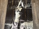 Van Halen/David Lee Roth Insert 1980 Women and Children First  24