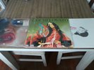 4 LP's - PARAMORE-THIS IS WHY, RARE-SELENA GOMEZ & 2 DEMI LOVATO VINYL'S SEALED.