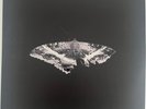Kendrick Lamar - To Pimp A Butterfly - 2 LP 180g Black Vinyl New Sealed