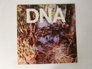 DNA:   A Taste Of DNA   1981  UK  EX  Rough Trade  12