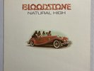 Bloodstone / Natural High 1972 Vinyl LP VG++ Club Edition Record Album Funk