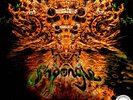 Shpongle - Codex VI (Vinyl 3LP - 2017 - UK - Reissue)