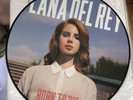 Lana Del Rey Born to Die Picture Disc Vinyl LP RSD 2013 US Edition - Original