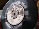 The Damned Rare New Rose  1st Press Street Music Co 1976 Pic Cover Great Copy