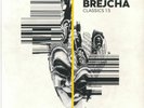 BREJCHA, Boris - Classics 1.5 - limited 180 gram transparent yellow vinyl 12