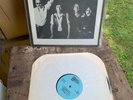 stevie b and the rhythm rockers lp the real thing 1981 Buffalo Blues Band