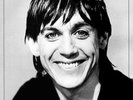 Iggy Pop Lust For Life Limited Purple Vinyl LP - 4M525