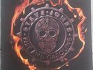Steve Jones Fire And Gasoline 12