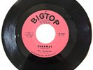 Del Shannon Runaway Jody 45 Rpm 7” Big Top Records