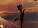 Pretty Things - PARACHUTE - Vinyl Record lp - H4z