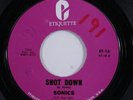 Garage 45 SONICS Shot Down ETIQUETTE 1965 repress HEAR j