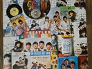 RARE The Beatles  1979 Capitol Records Collector's Items PROMO VINYL LP