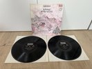 Caravan In The Land Of Grey And Pink DLP Rare Spain Press 1981