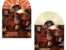 Taylor Swift The Life Of A Showgirl The Tiny Bubbles in Champagne Bundle Presal