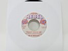 Son Of Mississippi Flight NAACP 105 Vintage 45 Record - #500