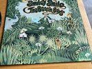THE BEACH BOYS VINYL 12
