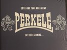 Perkele Göteborg Punk Rock Army - In The Beginning... Color Vinyl KBD Oi  Punk