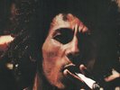Bob Marley & the Wailers Catch A Fire LP vinyl Europe Island 2015 180g vinyl