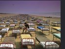 Pink Floyd - A Momentary Lapse Of Reason (Gatefold, 180 Gram) (LP)