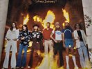 LYNYRD SKYNYRD - Street Survivors - Vinyl LP 1977 MCA-3029 Master Flames Banned