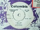 Rare UK Rock 'n' Roll JANICE PETERS AND THE PLAYBOYS A Girl Likes/Demo Columbia