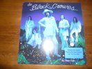 BLACK CROWES BY YOUR SIDE ORIGINAL FIRST 1999 VINYL PRESS IN M- CONDITION