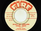 Blues R&B 45 - Elmore James - Make My Dreams Come True - Fire