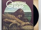 Grateful Dead - Wake Of The Flood - 1973 US 1st Press (EX) Ultrasonic Clean