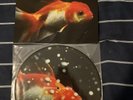 Vince Staples Big Fish Theory Vinyl Picture Disc Plus Autograph