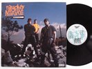 NAUGHTY BY NATURE Self Titled TOMMY BOY TBLP-1044 LP m