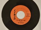 RARE GARAGE ROCK The Torques It's Me Not You/Show Me 45 RPM 7