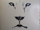 White Lion Pride 1987 LP Album Hair Metal Glam VG+/VG Atlantic
