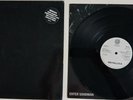 METALLICA ENTER SANDMAN VINYL 12