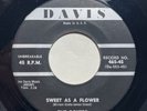 DooWop/Group 45 Rpm The Dovers On Davis #465 “Sweet As A Flower/Boy In My Life”