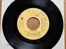 LONNIE LISTON SMITH Renaissance DJ PROMO 45 7