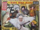Steve Martin And The Steep Canyon rangers Rare bird alert  barnes and noble NEW
