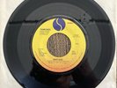 Ramones - Wart Hog / Howling At The Moon - Sire 7-29107 Garage Punk Indie Rare M