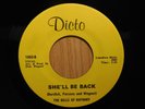Bells Of Rhymny Michigan Garage Rock 45 Shell Be Back bw The Wicked Old Witch