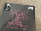 LP SISTERS OF MERCY The Reptile House EP (SMOKEY Vinyl RSD 2023) NEW MINT SEALED